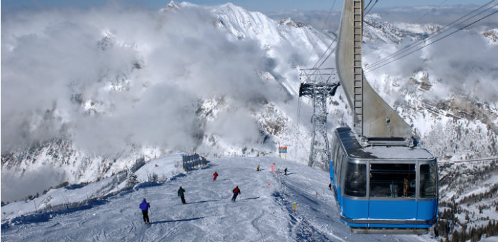 snowbird