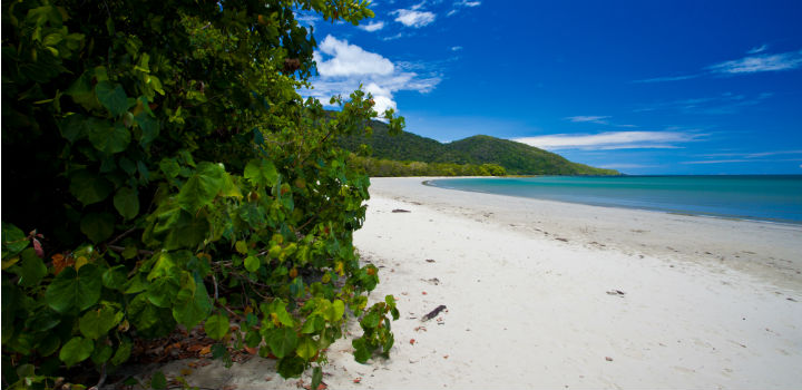 cape tribulation