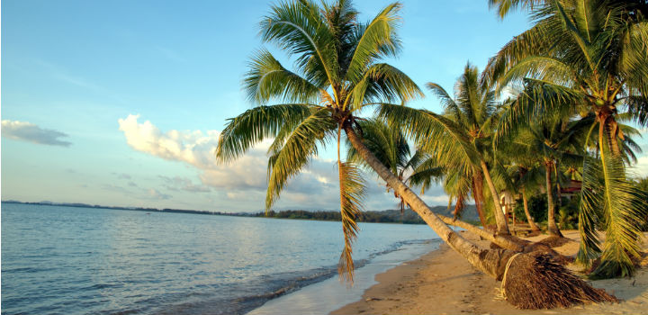strand borneo