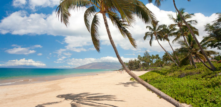 maui